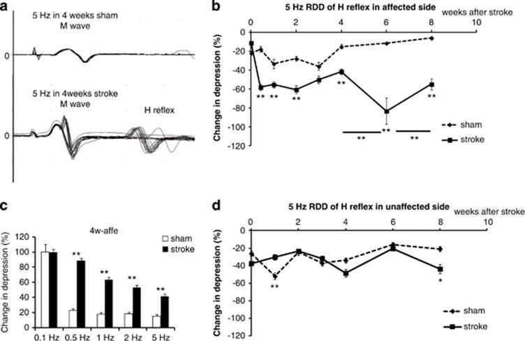 https://cdn.ncbi.nlm.nih.gov/pmc/blobs/3072/4040693/e5da222fcf8f/cddis2013544f2.jpg