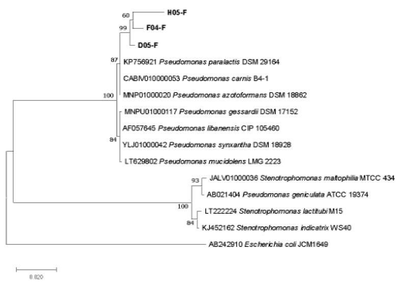 https://cdn.ncbi.nlm.nih.gov/pmc/blobs/3074/8540131/289bd7b279ba/toxins-13-00712-g003.jpg