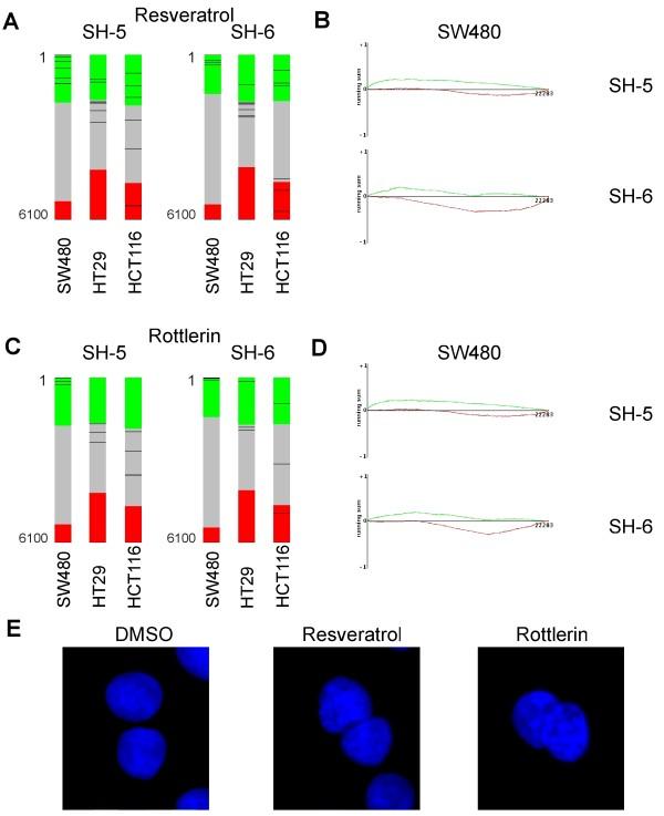 https://cdn.ncbi.nlm.nih.gov/pmc/blobs/307a/2895615/1e4a8f88711a/1471-2407-10-287-8.jpg