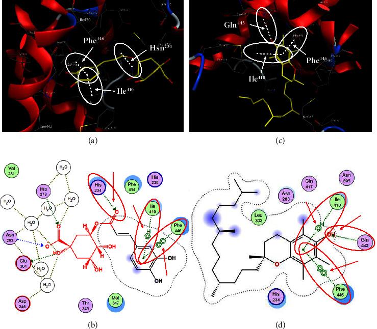 https://cdn.ncbi.nlm.nih.gov/pmc/blobs/307c/11132833/800fda99850f/APS2024-1230239.004.jpg
