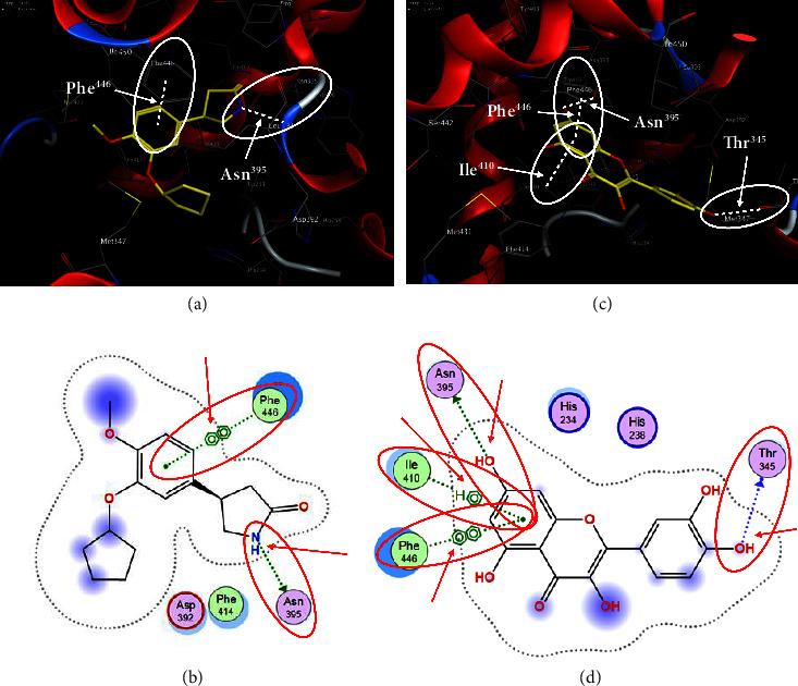 https://cdn.ncbi.nlm.nih.gov/pmc/blobs/307c/11132833/93147999b160/APS2024-1230239.003.jpg