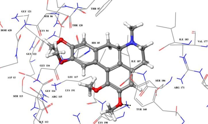 https://cdn.ncbi.nlm.nih.gov/pmc/blobs/307c/6863536/5117de6cfd0e/pone.0225056.g011.jpg