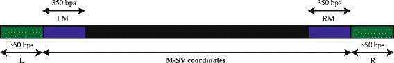 https://cdn.ncbi.nlm.nih.gov/pmc/blobs/307d/4715349/472b77872c0c/12864_2016_2366_Fig1_HTML.jpg