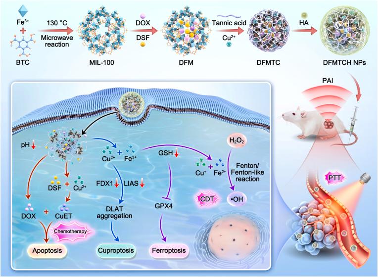 https://cdn.ncbi.nlm.nih.gov/pmc/blobs/307f/11754682/2d9a2467b091/gr1.jpg