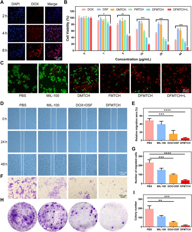 https://cdn.ncbi.nlm.nih.gov/pmc/blobs/307f/11754682/7be932aa34e2/gr4.jpg