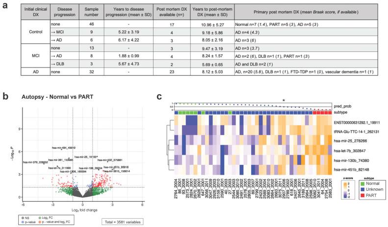 https://cdn.ncbi.nlm.nih.gov/pmc/blobs/3081/10854972/a44c13c76e1e/cells-13-00207-g002.jpg
