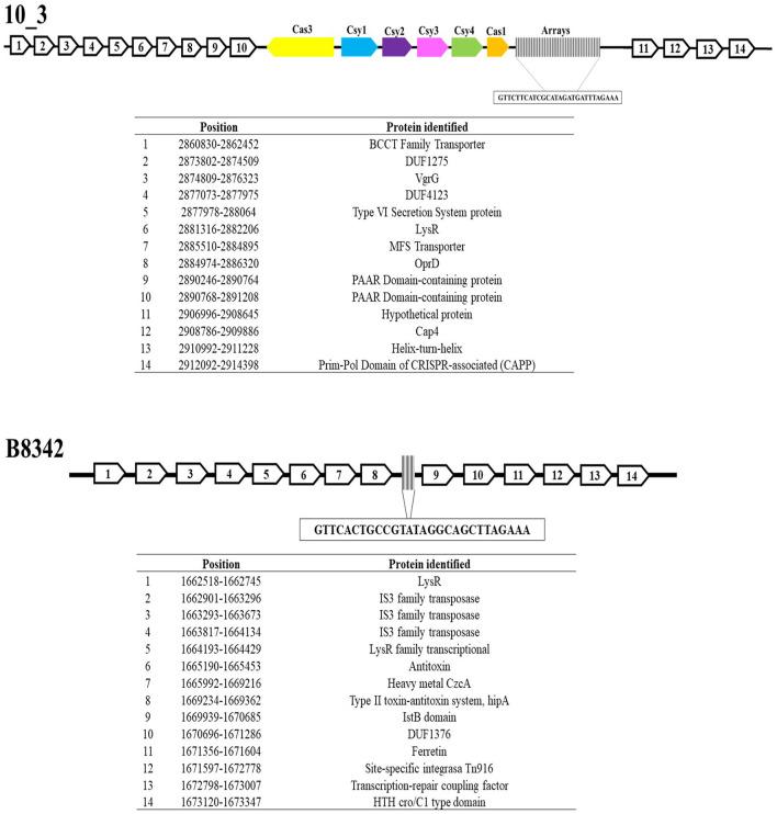 https://cdn.ncbi.nlm.nih.gov/pmc/blobs/3081/11035748/2884e89d563d/fmicb-15-1335997-g0004.jpg