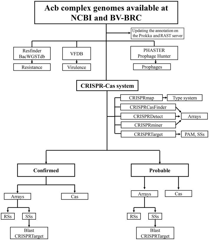 https://cdn.ncbi.nlm.nih.gov/pmc/blobs/3081/11035748/a14f725b9ed8/fmicb-15-1335997-g0001.jpg
