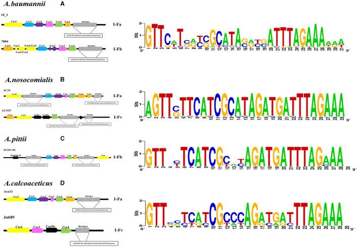 https://cdn.ncbi.nlm.nih.gov/pmc/blobs/3081/11035748/c4ee779079c9/fmicb-15-1335997-g0002.jpg
