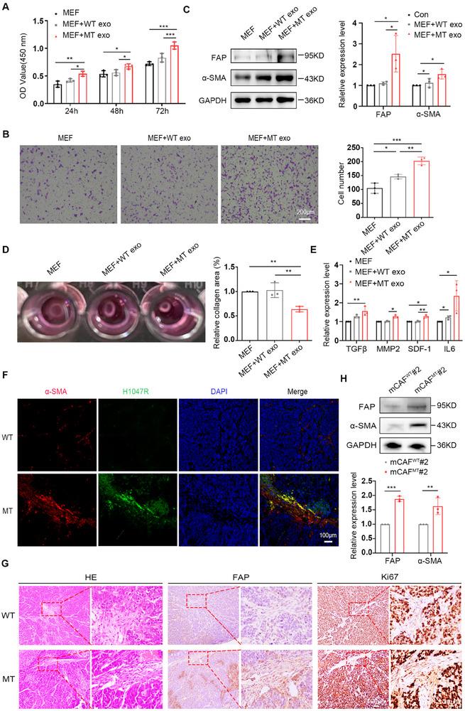 https://cdn.ncbi.nlm.nih.gov/pmc/blobs/3081/12279234/1746e912591d/ADVS-12-2501792-g007.jpg