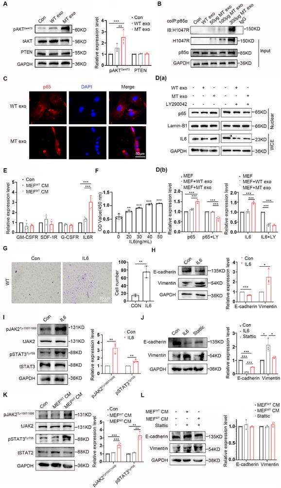 https://cdn.ncbi.nlm.nih.gov/pmc/blobs/3081/12279234/9fe1f0b07c30/ADVS-12-2501792-g002.jpg