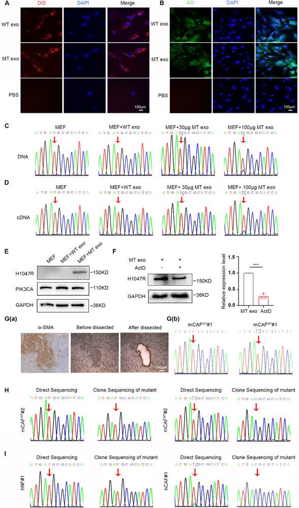 https://cdn.ncbi.nlm.nih.gov/pmc/blobs/3081/12279234/cc4f41ab7996/ADVS-12-2501792-g006.jpg