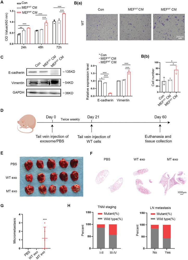 https://cdn.ncbi.nlm.nih.gov/pmc/blobs/3081/12279234/eb6da5dc2a69/ADVS-12-2501792-g003.jpg