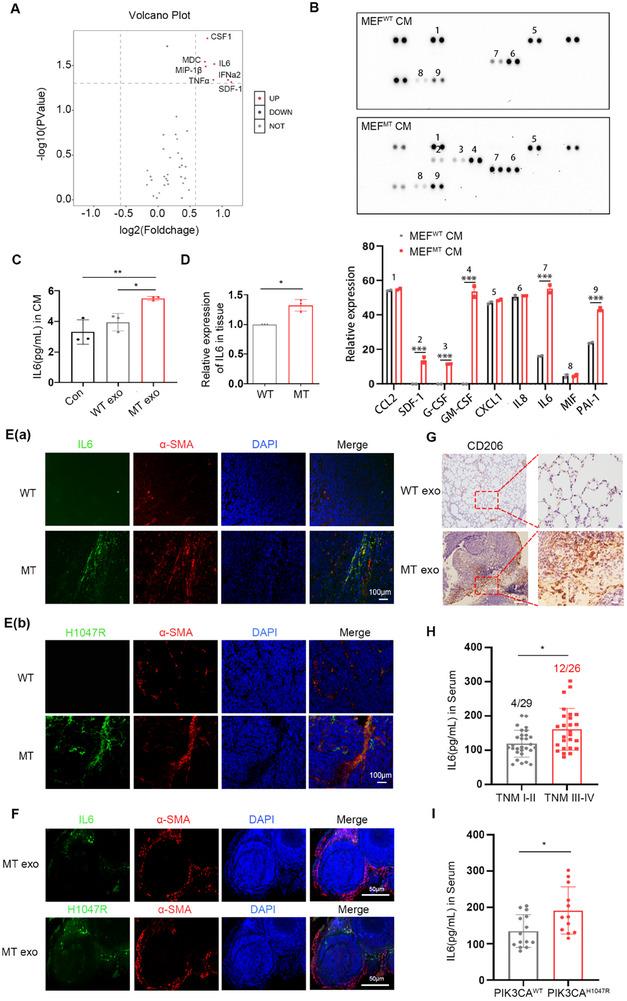 https://cdn.ncbi.nlm.nih.gov/pmc/blobs/3081/12279234/f77b0bbca9a2/ADVS-12-2501792-g004.jpg
