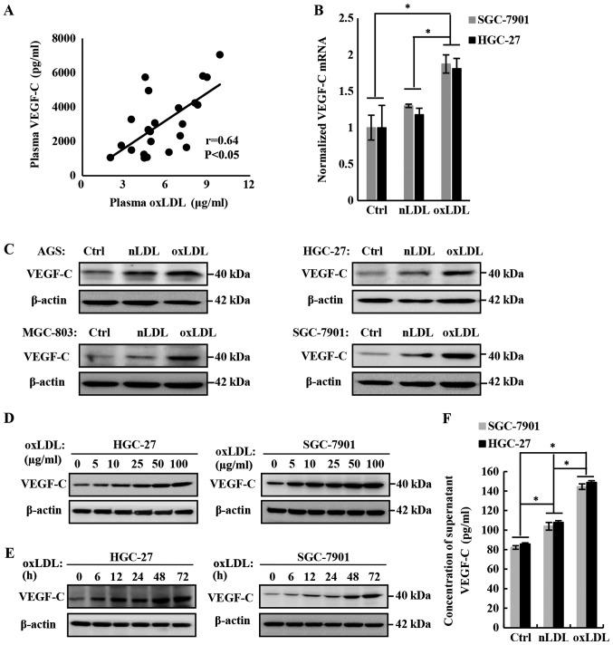 https://cdn.ncbi.nlm.nih.gov/pmc/blobs/3081/6317679/3b31b0f5f2e5/IJO-54-02-0572-g02.jpg