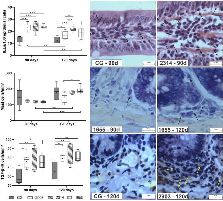 https://cdn.ncbi.nlm.nih.gov/pmc/blobs/3082/8317265/2d0a972d1684/fcimb-11-687499-g008.jpg
