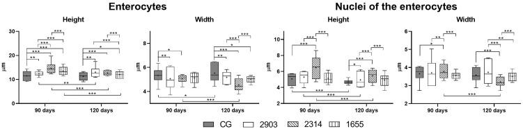 https://cdn.ncbi.nlm.nih.gov/pmc/blobs/3082/8317265/5f15b9cc234c/fcimb-11-687499-g006.jpg