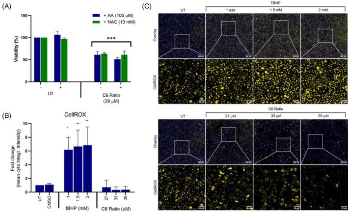 https://cdn.ncbi.nlm.nih.gov/pmc/blobs/3083/11471428/45e7a10e99e6/CPR-57-e13650-g003.jpg