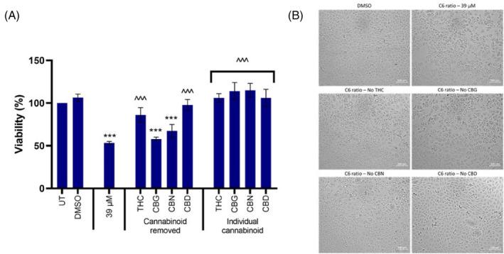 https://cdn.ncbi.nlm.nih.gov/pmc/blobs/3083/11471428/78d28c13bb68/CPR-57-e13650-g007.jpg