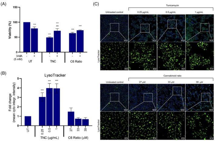https://cdn.ncbi.nlm.nih.gov/pmc/blobs/3083/11471428/abaaf11cbaa0/CPR-57-e13650-g013.jpg