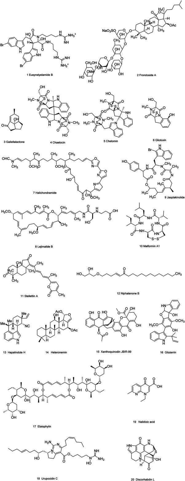 https://cdn.ncbi.nlm.nih.gov/pmc/blobs/3083/8495205/551a55d7f488/fphar-12-738235-g003.jpg