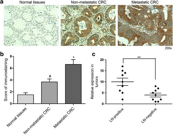 https://cdn.ncbi.nlm.nih.gov/pmc/blobs/3084/4709914/0b9fdeba1e76/13046_2015_280_Fig1_HTML.jpg
