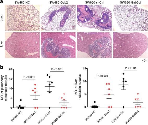 https://cdn.ncbi.nlm.nih.gov/pmc/blobs/3084/4709914/20c6c6f34632/13046_2015_280_Fig3_HTML.jpg