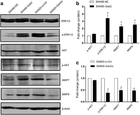 https://cdn.ncbi.nlm.nih.gov/pmc/blobs/3084/4709914/88ebd8a9b95d/13046_2015_280_Fig5_HTML.jpg