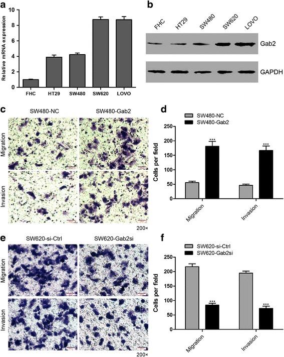https://cdn.ncbi.nlm.nih.gov/pmc/blobs/3084/4709914/b32af09635b2/13046_2015_280_Fig2_HTML.jpg