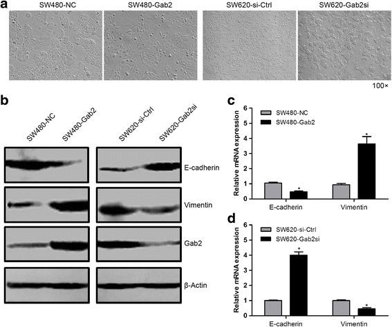 https://cdn.ncbi.nlm.nih.gov/pmc/blobs/3084/4709914/e9b1722d5990/13046_2015_280_Fig4_HTML.jpg