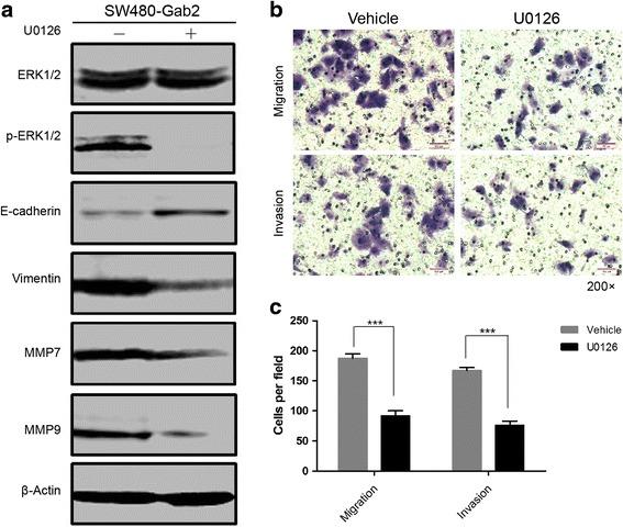 https://cdn.ncbi.nlm.nih.gov/pmc/blobs/3084/4709914/f0fa9c543576/13046_2015_280_Fig6_HTML.jpg