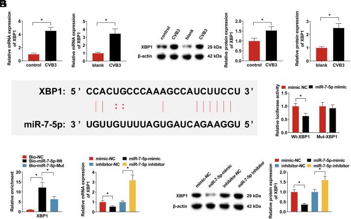 https://cdn.ncbi.nlm.nih.gov/pmc/blobs/3086/11537450/457c4ccc89c5/ajc-28-11-523_f005.jpg