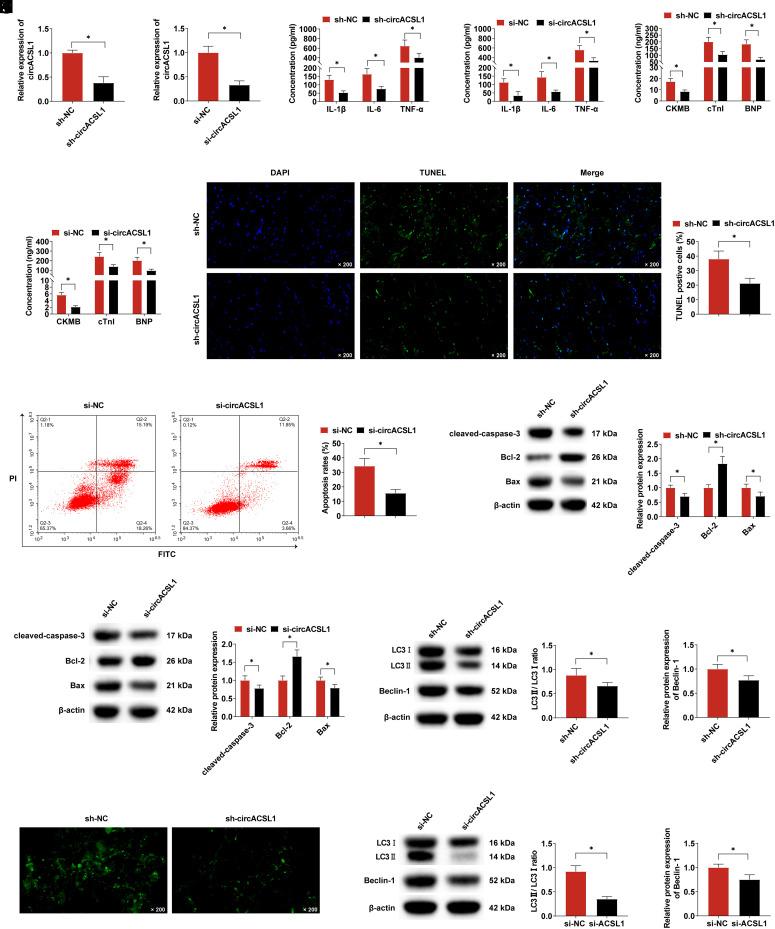 https://cdn.ncbi.nlm.nih.gov/pmc/blobs/3086/11537450/58316968820c/ajc-28-11-523_f002.jpg