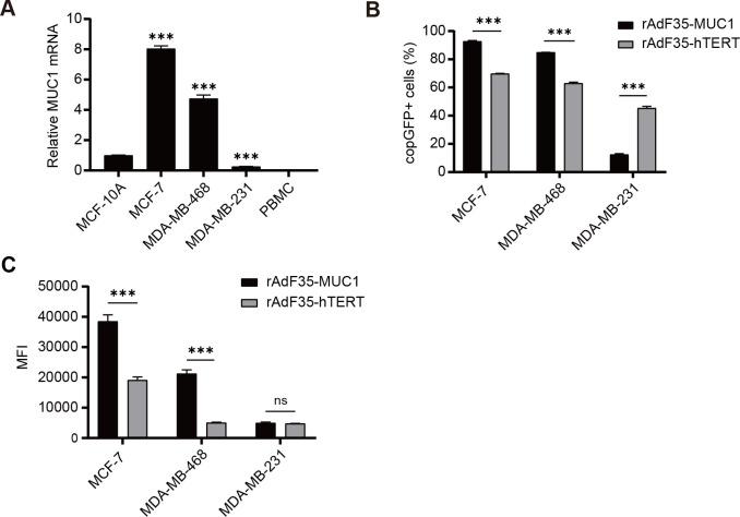 https://cdn.ncbi.nlm.nih.gov/pmc/blobs/3086/11779711/6a0efaeefb22/fonc-14-1506968-g002.jpg