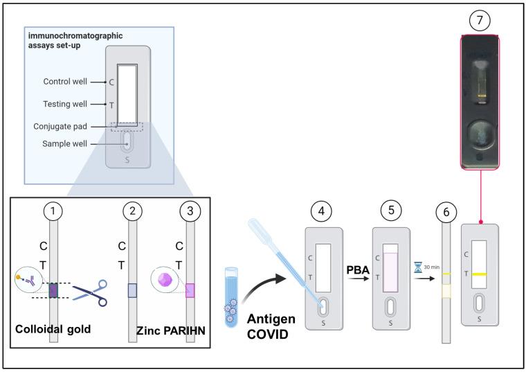 https://cdn.ncbi.nlm.nih.gov/pmc/blobs/3086/12025067/18100667b1d6/biosensors-15-00256-sch004.jpg