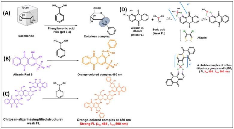 https://cdn.ncbi.nlm.nih.gov/pmc/blobs/3086/12025067/a44baf46b5f7/biosensors-15-00256-sch003.jpg