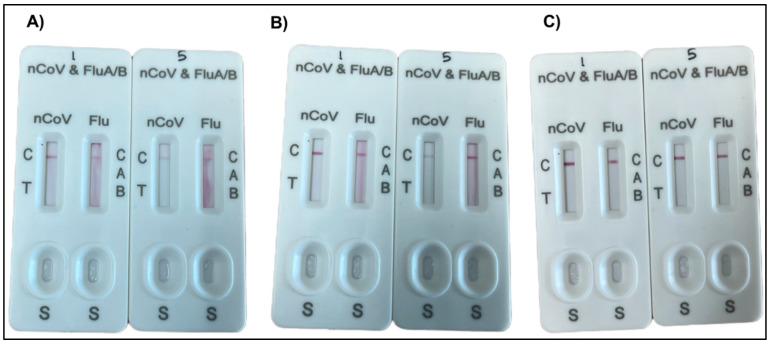 https://cdn.ncbi.nlm.nih.gov/pmc/blobs/3086/12025067/c2227dd49361/biosensors-15-00256-g010.jpg