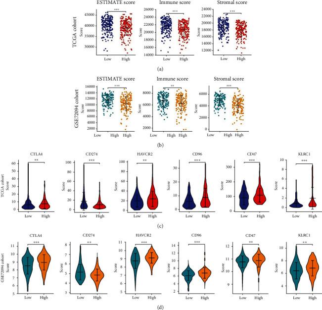 https://cdn.ncbi.nlm.nih.gov/pmc/blobs/3086/9168189/8d06c6d37d5a/JIR2022-6521290.007.jpg