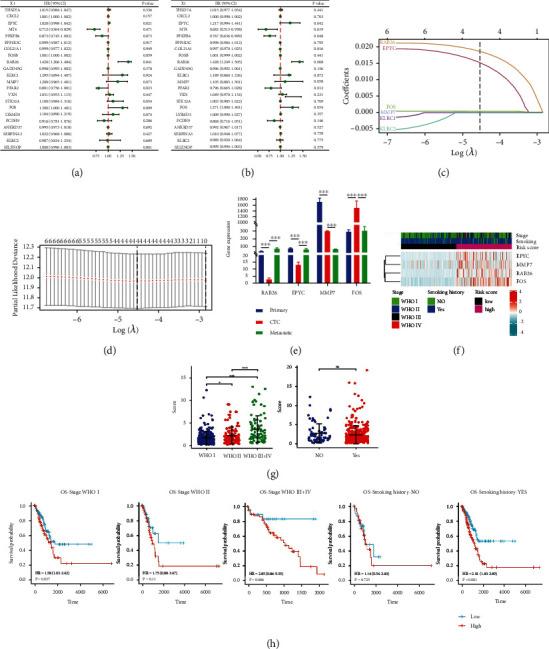 https://cdn.ncbi.nlm.nih.gov/pmc/blobs/3086/9168189/fc8f310c4029/JIR2022-6521290.003.jpg