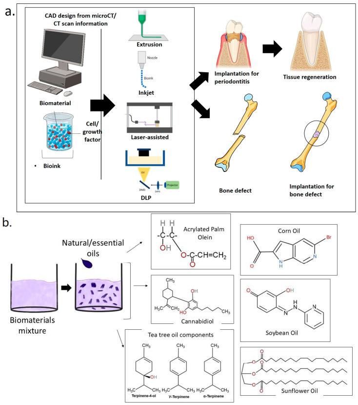 https://cdn.ncbi.nlm.nih.gov/pmc/blobs/3088/12026678/371e273bf25c/ijms-26-03510-g002.jpg