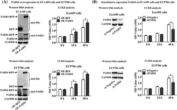 https://cdn.ncbi.nlm.nih.gov/pmc/blobs/3088/6588094/e138bc55849b/MC-58-66-g003.jpg