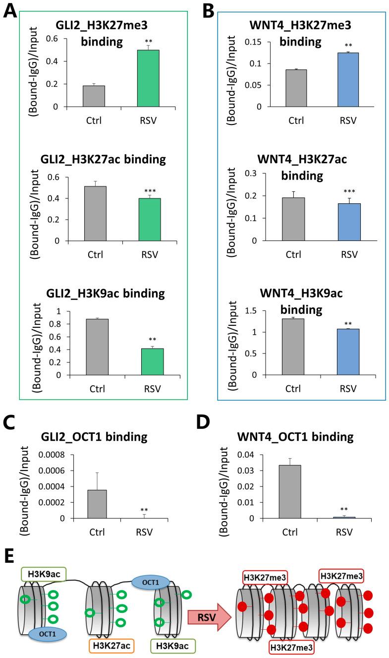 https://cdn.ncbi.nlm.nih.gov/pmc/blobs/308b/10934115/8b95d63982cd/nutrients-16-00699-g004.jpg