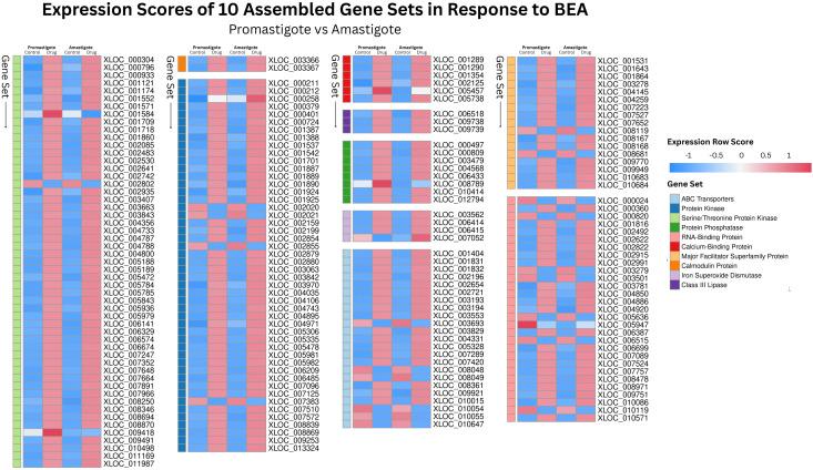 https://cdn.ncbi.nlm.nih.gov/pmc/blobs/308b/12185981/2296edb519fa/fcimb-15-1599766-g003.jpg