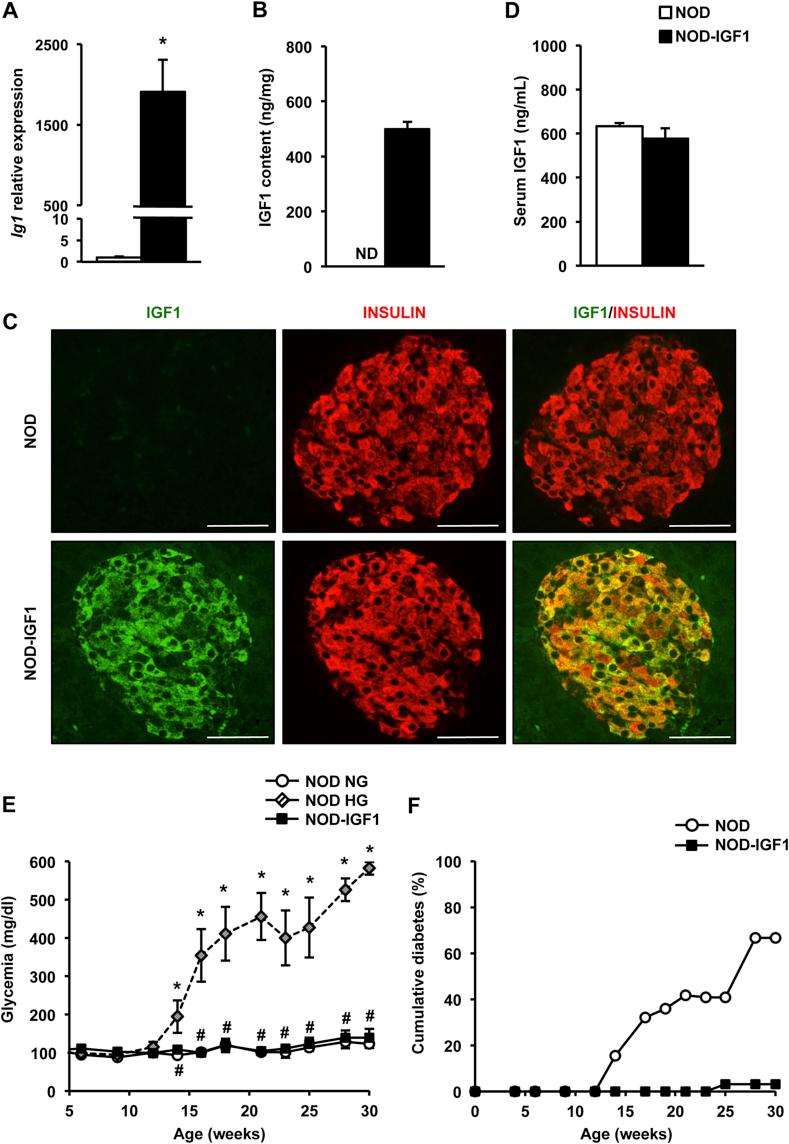 https://cdn.ncbi.nlm.nih.gov/pmc/blobs/308b/5485311/eaa8afd51955/gr1.jpg