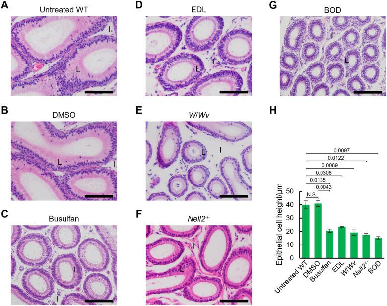 https://cdn.ncbi.nlm.nih.gov/pmc/blobs/308c/11017096/87c005336cc9/jrd-70-104-g001.jpg