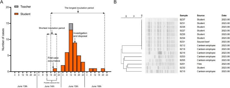 https://cdn.ncbi.nlm.nih.gov/pmc/blobs/308d/12245808/0889fafd0776/fmicb-16-1577277-g001.jpg