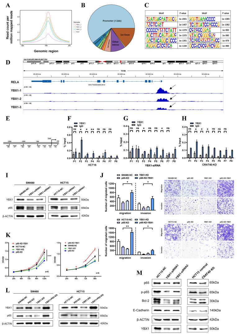 https://cdn.ncbi.nlm.nih.gov/pmc/blobs/308e/12374820/140fbd91bbc6/ijbsv21p4834g006.jpg