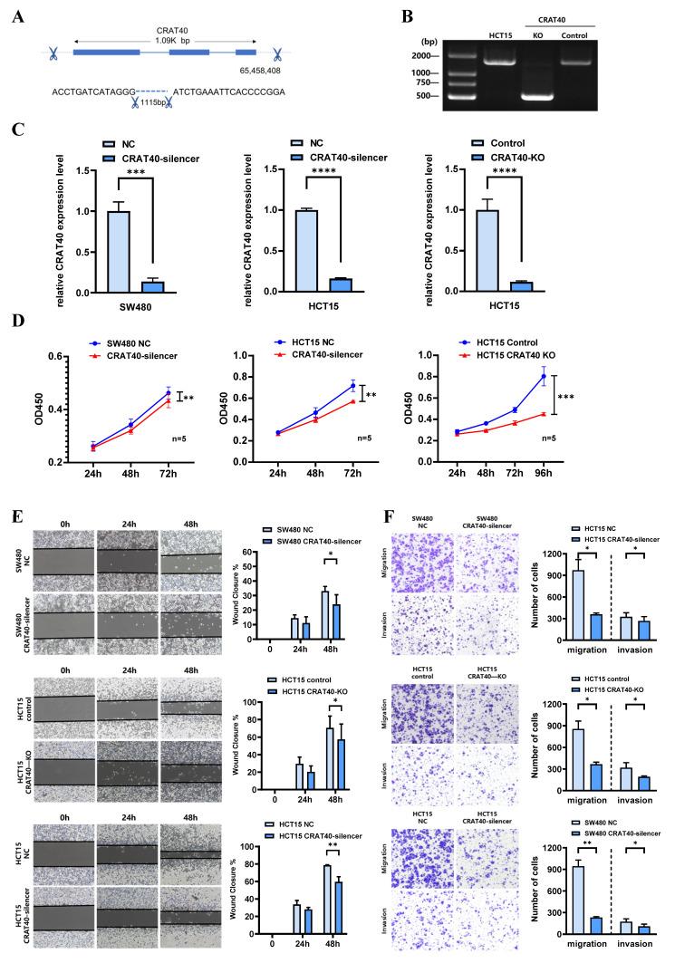 https://cdn.ncbi.nlm.nih.gov/pmc/blobs/308e/12374820/582e86bf7a0c/ijbsv21p4834g002.jpg