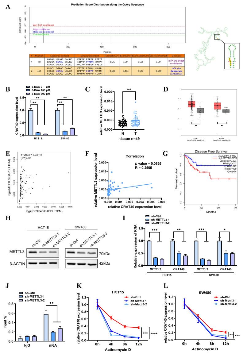 https://cdn.ncbi.nlm.nih.gov/pmc/blobs/308e/12374820/7c091088d12f/ijbsv21p4834g007.jpg