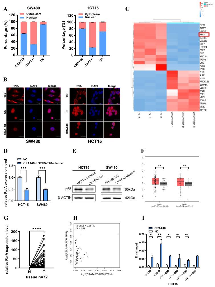 https://cdn.ncbi.nlm.nih.gov/pmc/blobs/308e/12374820/8c827f7ea761/ijbsv21p4834g004.jpg